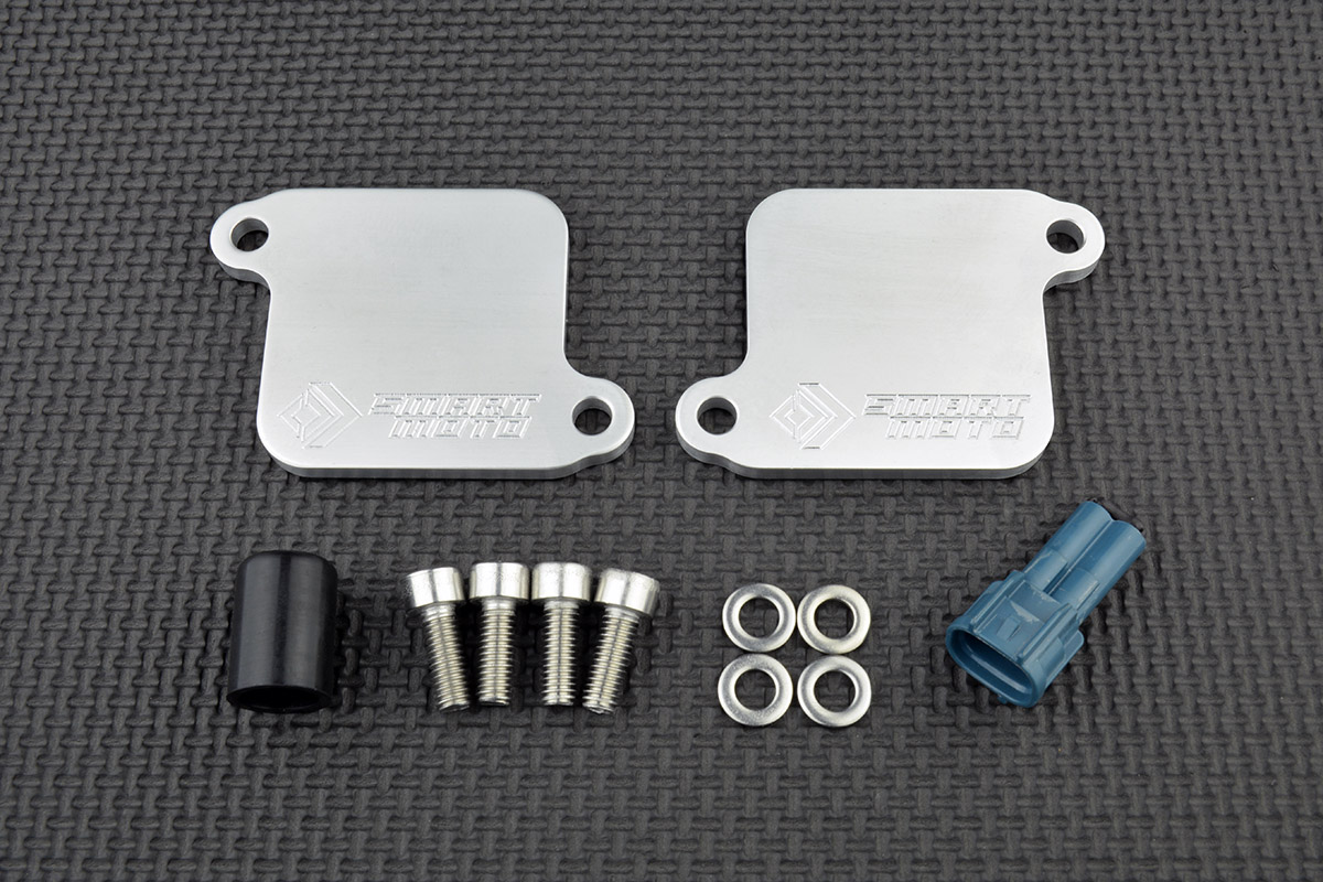 PAIR Valve Removal Kit with Block Off Plates BLP-306 - SmartMoto