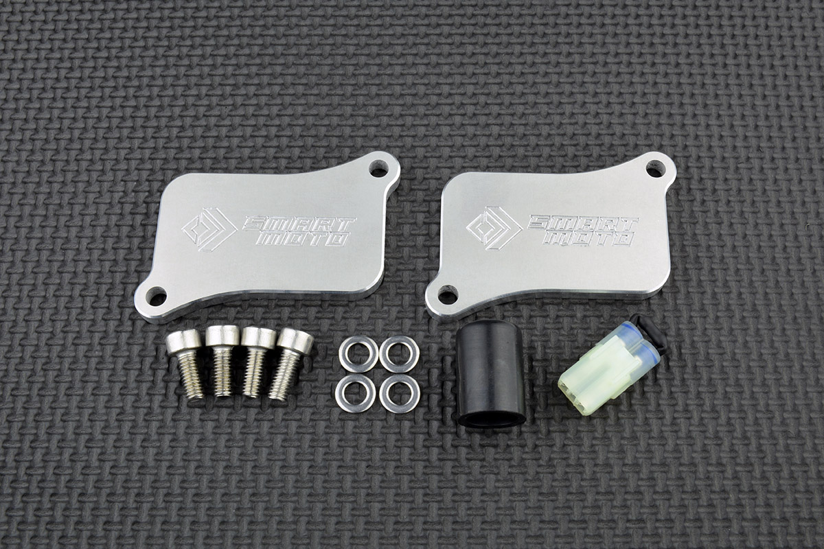 PAIR Valve Removal Kit with Block Off Plates PLE-120 - SmartMoto