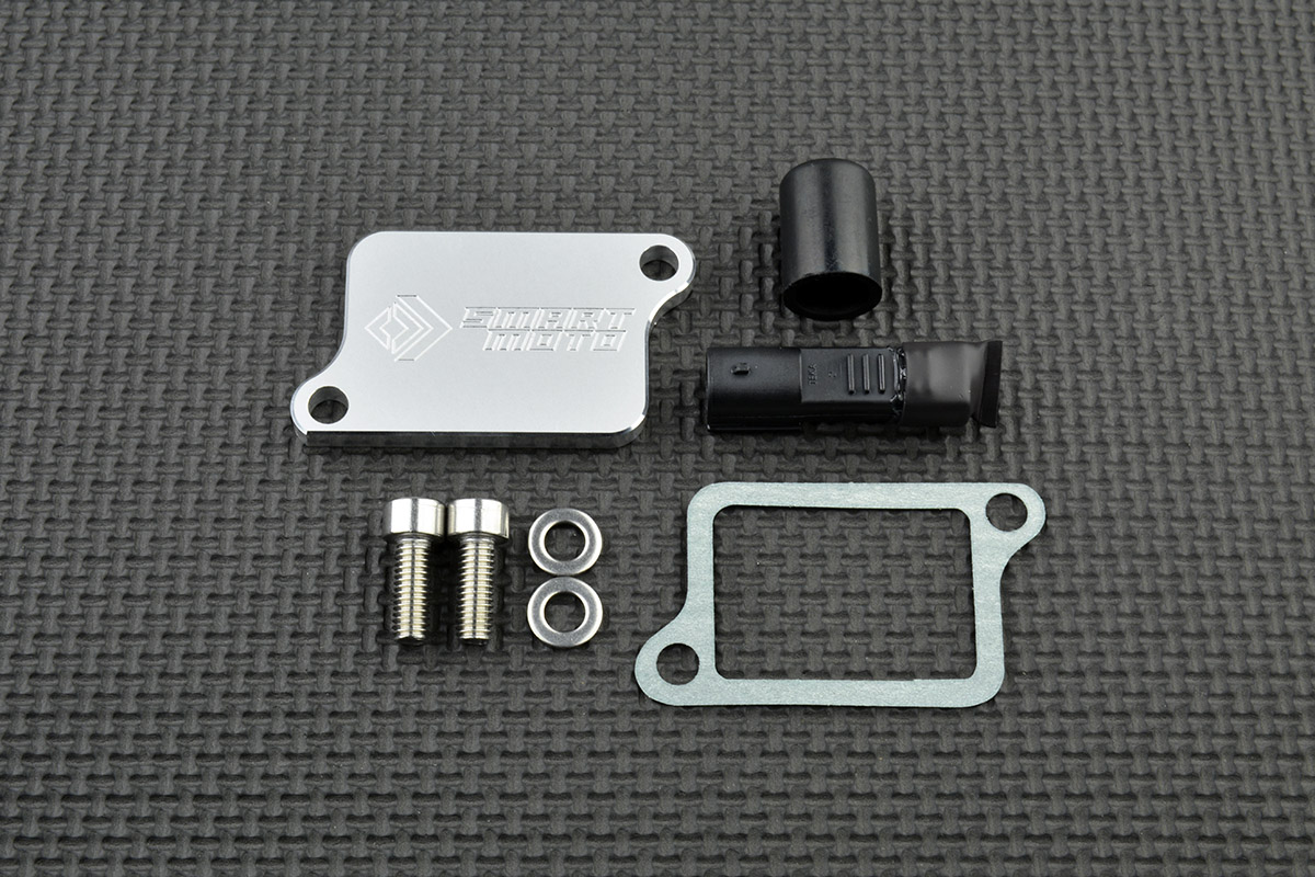 PAIR Valve Removal kit with Block Off Plate PLE-125 - SmartMoto