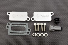 AIS Valve Removal Kit with Block Off Plates PLE-150
