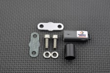 AIS Valve Removal Kit with Block Off Plates PLE-151