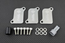 AIS Valve Removal Kit with Block Off Plates PLE-221 AIS Valve Removal Kit with Block Off Plates PLE-221