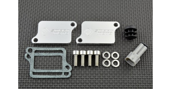 PAIR Valve Removal Kit with Block Off Plates PLE-225 - SmartMoto