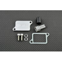 PAIR Valve Removal kit with Block Off Plate PLE-325 - SmartMoto