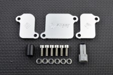 AIS Valve Removal Kit with Block Off Plates PLE-411 AIS Valve Removal Kit with Block Off Plates PLE-411